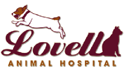 Lovell Animal Hospital