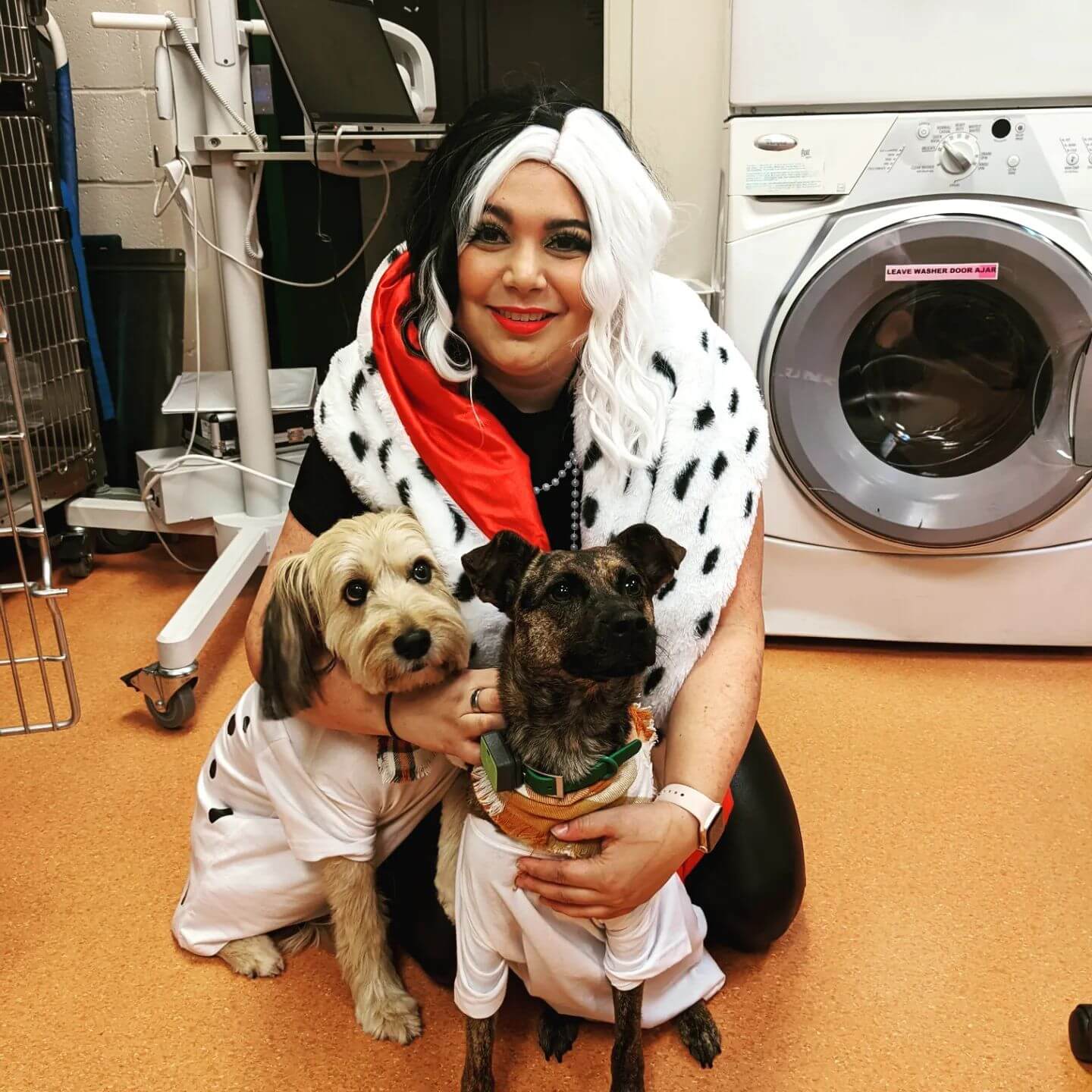 Woman with pets in costumes