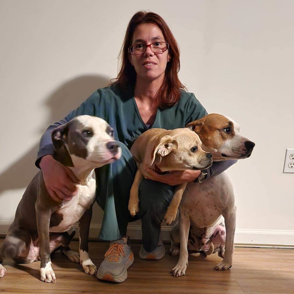 Lovell Animal Hospital Patient Gallery Vet Knoxville, TN